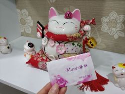 会员卡-MUSES专业脱毛日式比基尼サロン连锁