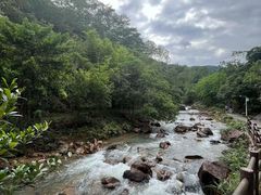 -广州白江湖森林公园