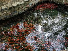 -水磨沟公园