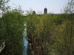 -永定河休闲森林公园