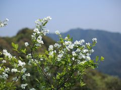 -午潮山国家森林公园