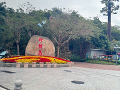 -野狸岛