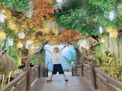 -西霞口神雕山野生动物世界