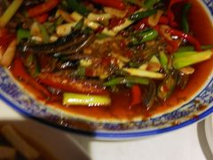 -院8里·小聚园老川菜(九眼桥店)