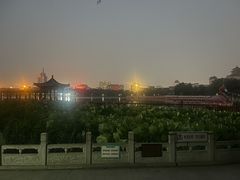 -莲花池公园