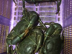 -龙海鲜螃蟹王(宏茂桥店)