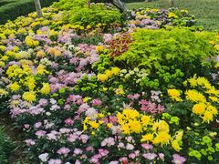 -南山植物园