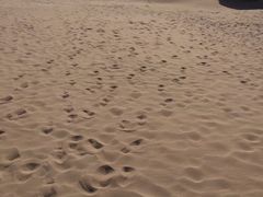 -古柏渡飞黄旅游区