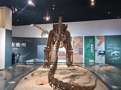 -衢州市博物馆