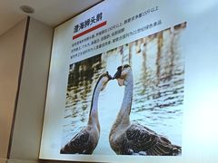 -陆记鹅庄·潮汕菜·狮头鹅(大仟里店)