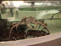 -白金汉爵大酒店(相城店)