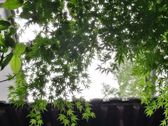 -梦姑塘文化公园