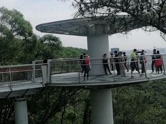 -狐尾山公园