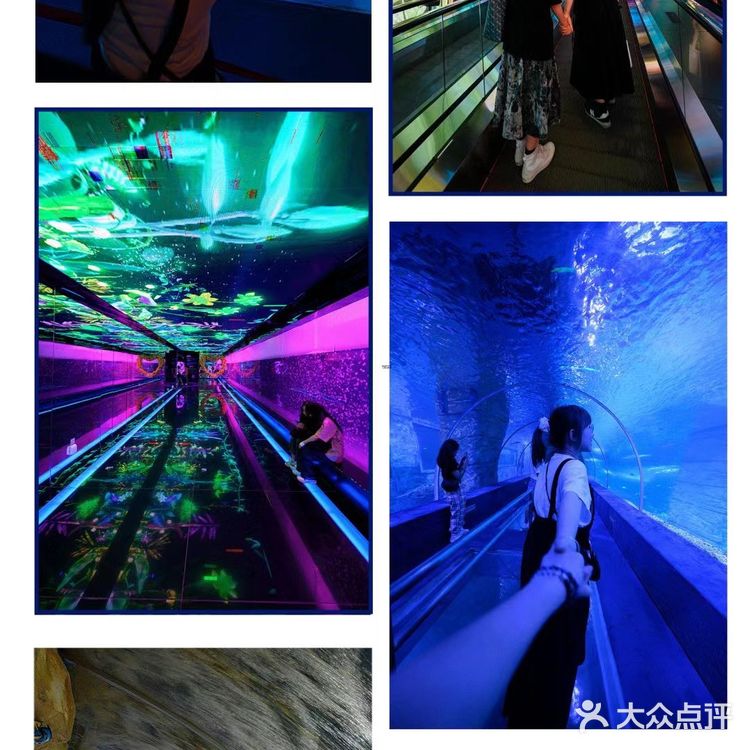 正佳极地海洋世界，打卡180°水晶海底！