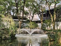 -上海醉白池公园