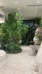 点击看大图 -MuseMarry婚纱(前海嘉里中心店)
