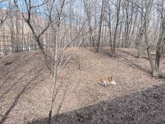 -哈尔滨北方森林动物园