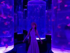 -海合安武汉极地海洋公园