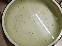 -华声天桥民俗文化园