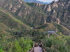 -大岭沟猕猴桃谷风景区
