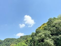 -铁山坪森林公园
