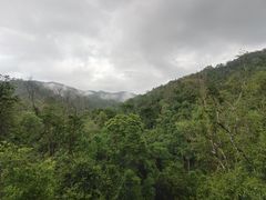 -野象谷景区