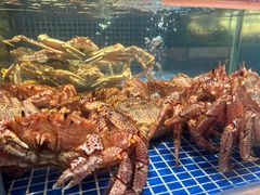 -德天肥牛海鲜火锅(龙吟坊店)