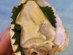 -千岛蚝高压锅生蚝·人参火锅(白云万达店)