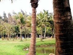 QQ截图20150701110718-白沙门生态公园