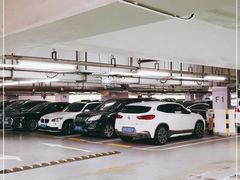 -上海浦东国际机场T1航站楼-P1停车场