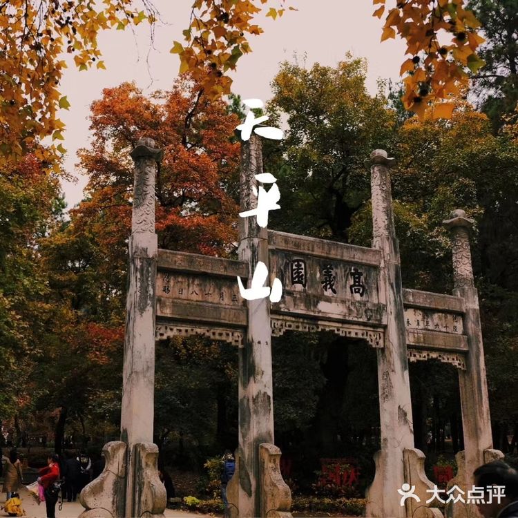 秋意浓 | 苏州天平山赏枫