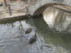 -水磨沟公园