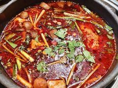 -黔有有贵州酸汤夺夺粉火锅(五味十字店)