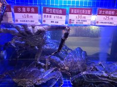 -陶陶居海鲜酒家(新马路店)