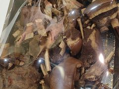 -驴公驴婆(曹杨店)