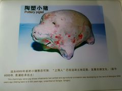 -苏州河梦清园环保主题公园