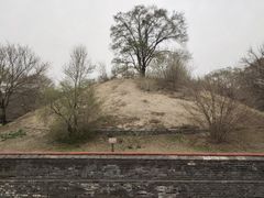 -北陵公园