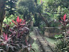 -呀路古热带植物园