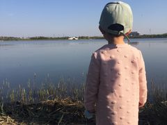 -天津东丽湖风景区