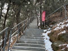 -南山公园