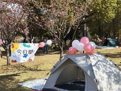 -五彩童年幼儿园