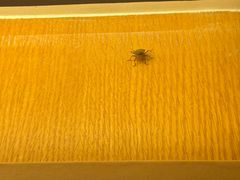 -秦皇岛阿尔卡迪亚滨海度假酒店