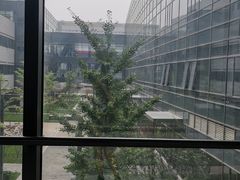 -首都医科大学附属北京天坛医院