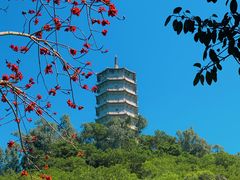 -深圳国际园林花卉博览园