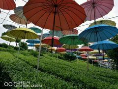 七彩部落-七彩部落