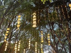 -淹城春秋乐园
