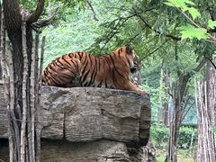 -秦皇岛野生动物园