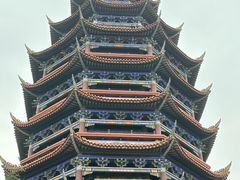 -铁山坪森林公园