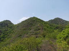-大岭沟猕猴桃谷风景区