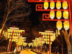 -青龙湖公园